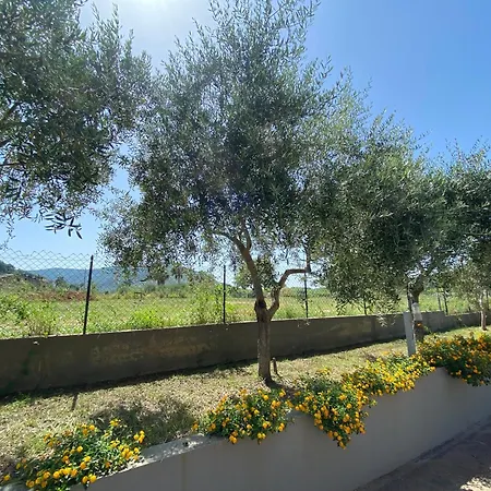Bed and Breakfast Miro' Agropoli Exterior foto