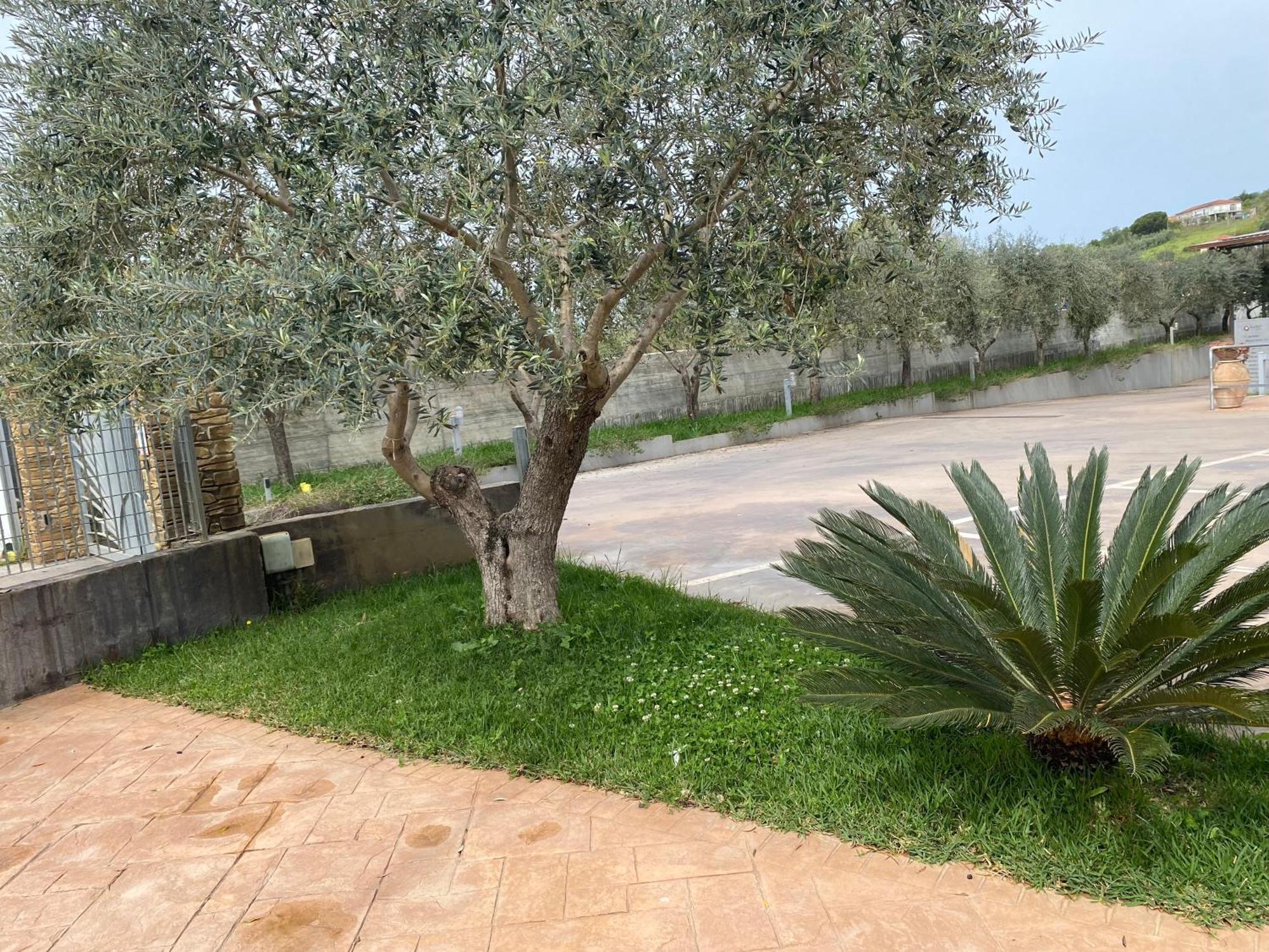 Bed & Breakfast Miro'